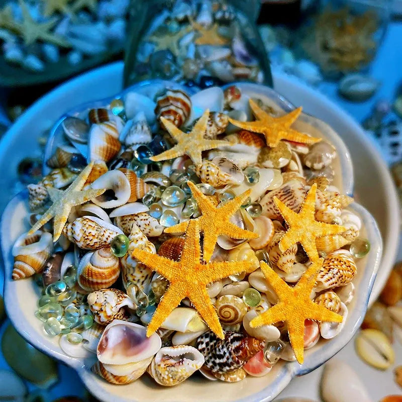 🌊Sea Treasures in a Bottle